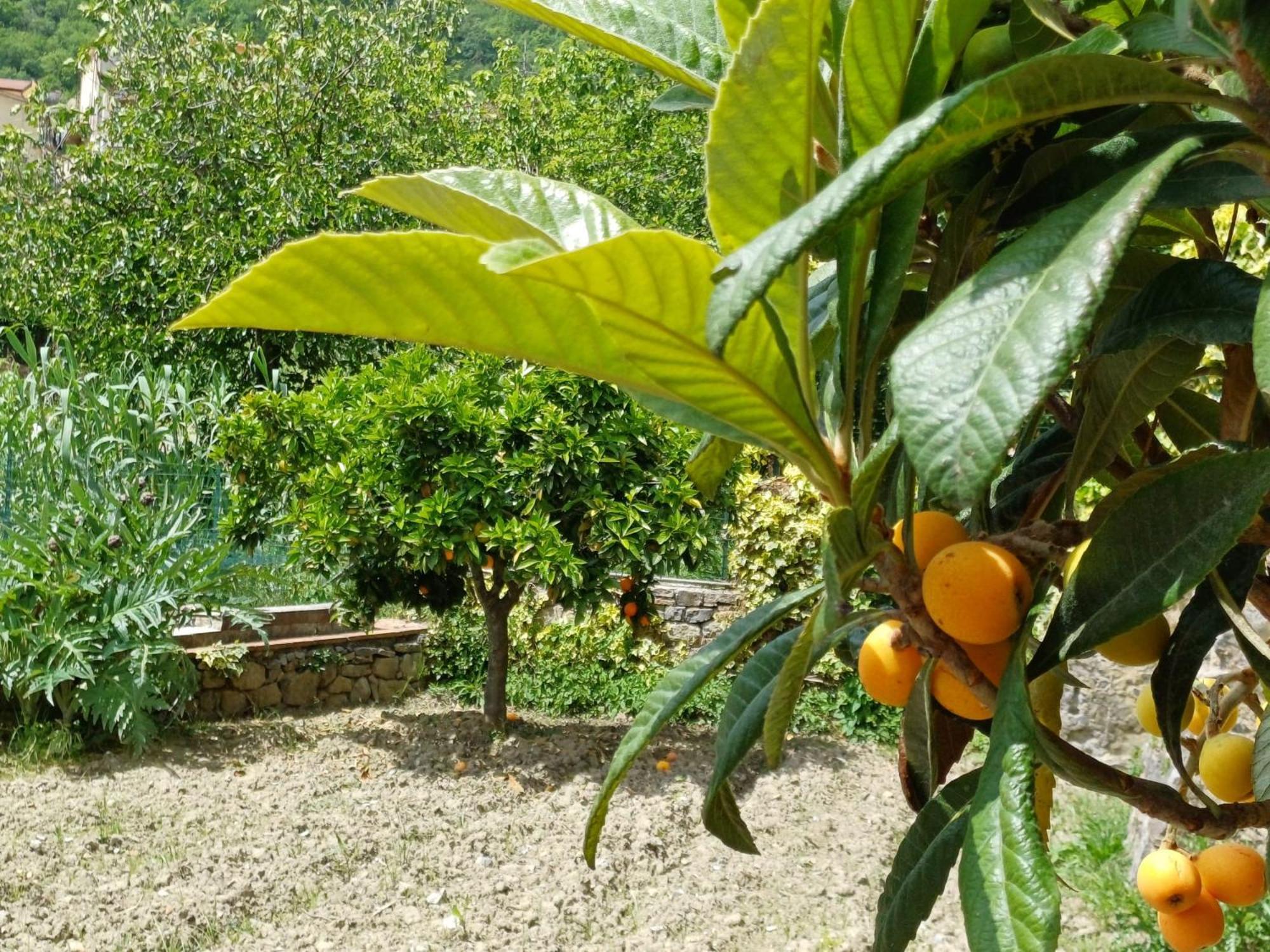 קמרוטה Country House B&B Antica Dimora Del Sole מראה חיצוני תמונה